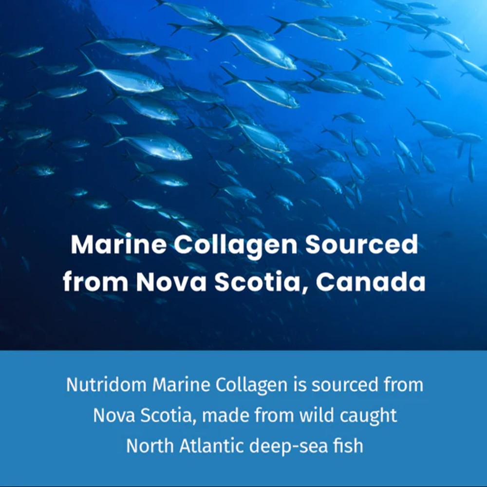 nutridom collagen marine 303 -picture-4